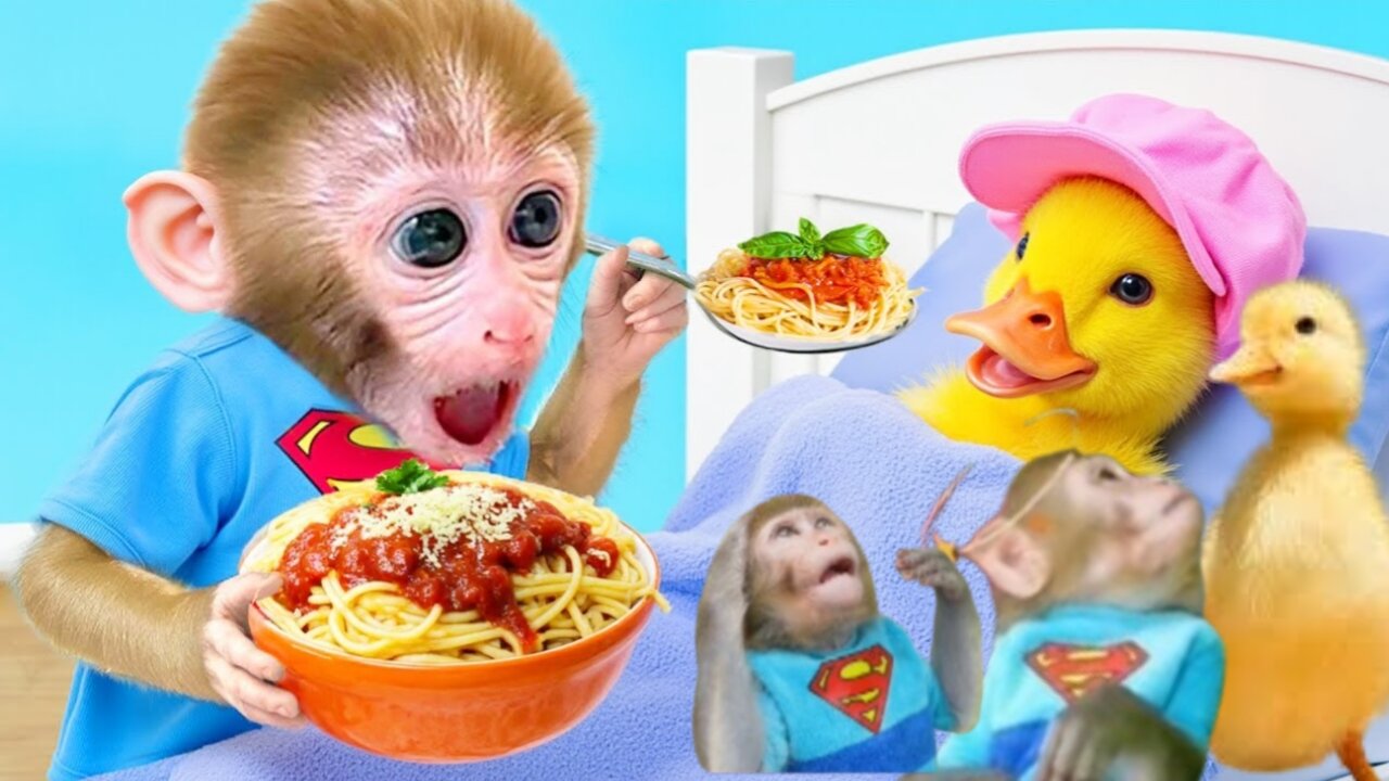 Bonmonkeykiki video||Animalht video