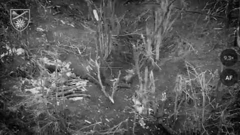 Dramatic Footage of Single Ukrainian Soldier Battling 3 Russians Who Enter Trench