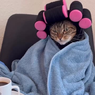 Waiting on the curls to dry 😂