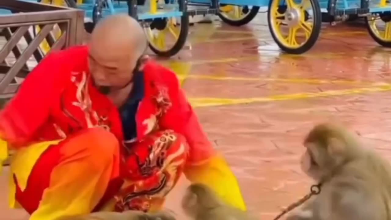 Monkey about LOVE reactions pics 2025