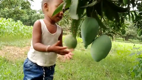 Kids mango