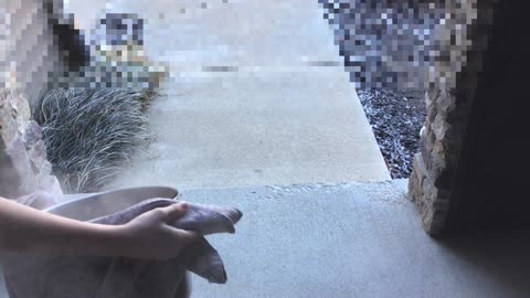 Throwing Boiling Water Into -27F Air!