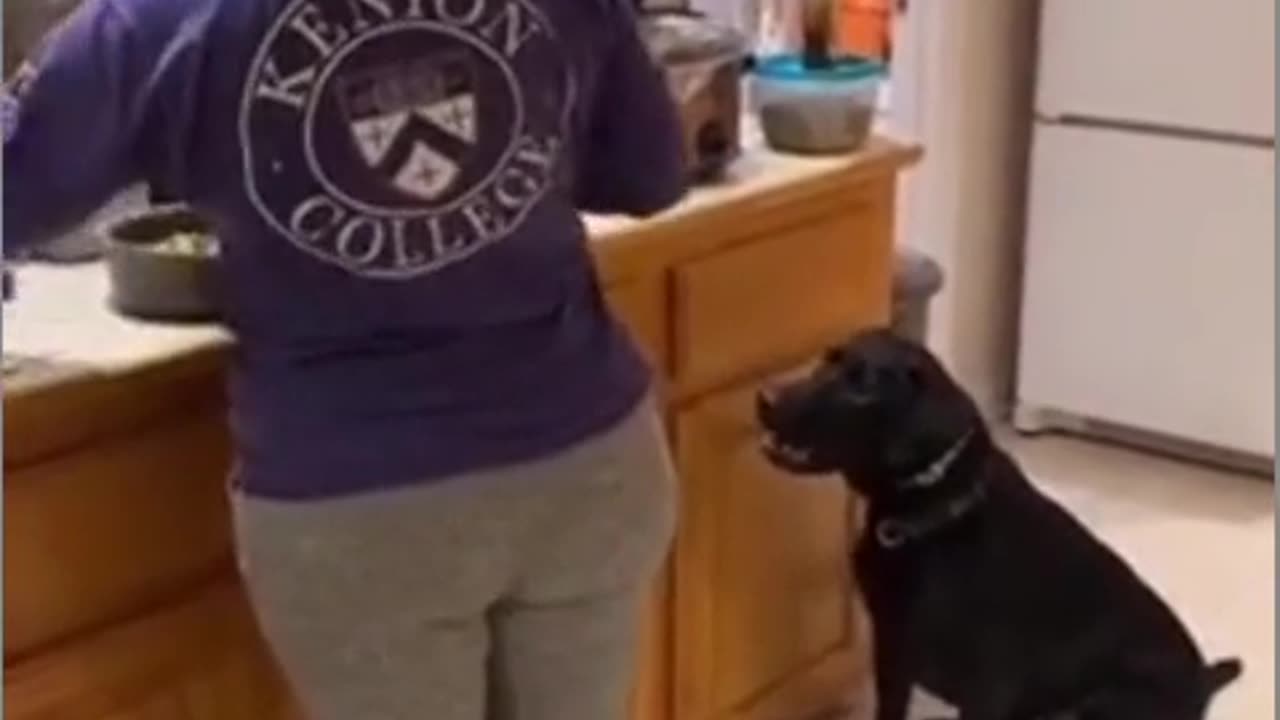 He loves to jump when ordering his food