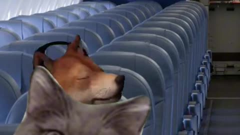 When you fly in a airplane 😎in 2025 from now on