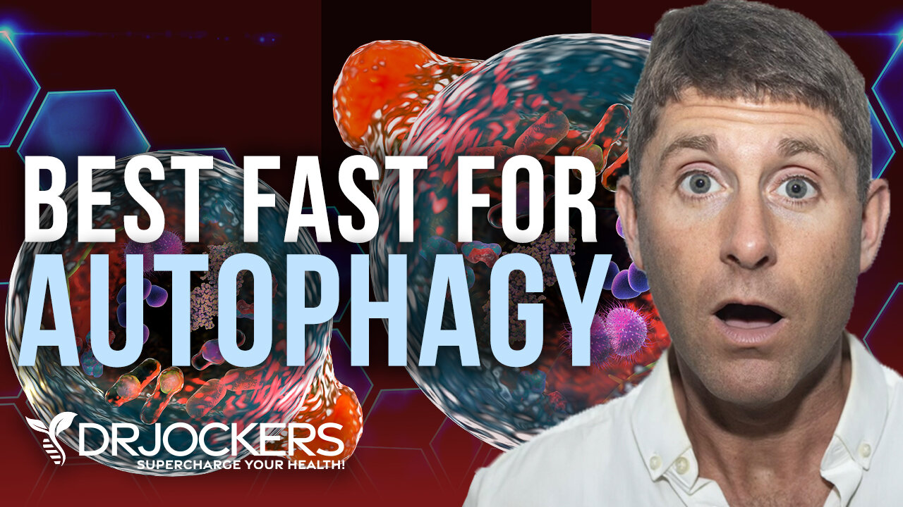 Autophagy Fasting: What Happens to Your Body + Best Autophagy Enhancers