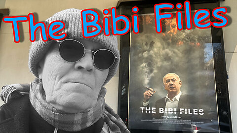 The Bibi Files movie review