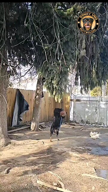 Work Out With Zekiboa