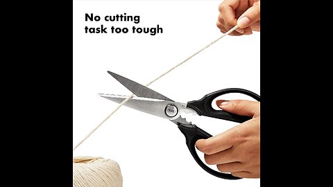 OXO Good Grips Multi-Purpose Kitchen and Herbs Scissors (With Review)
