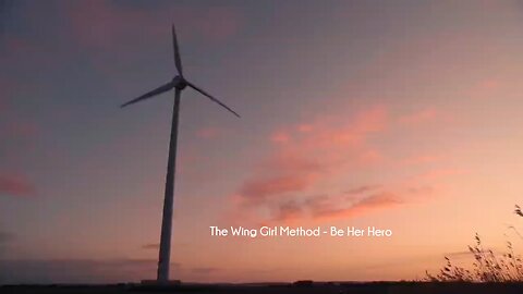 The Wing Girl Method - Be Her Hero course download