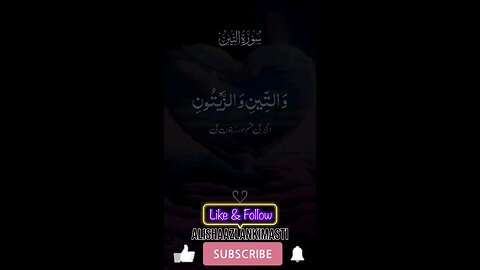 Surah at tin #video #islamic #islamicvideo #viralvideos #reelsvideo #videogames #funnyvideos #follow