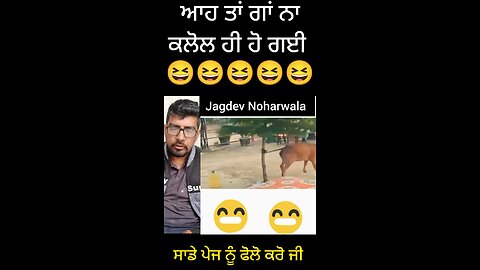 #india #love #trending #punjab #viral #pyaar #girl #bjp #yaar #aap #ਪੰਜਾਬੀ #ਮੁਟਿਆਰ