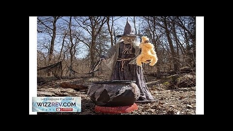 Cauldron Cat-Tastrophe Animated Witch Decoration Review