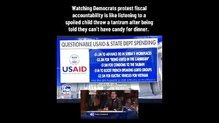 Democrats Are Throwing A Tantrum Over Fiscal Responsibility. The Loudest Are Getting The Most Money