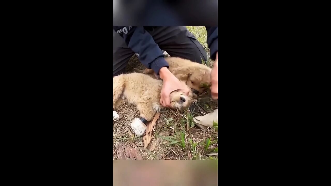 🥺💔