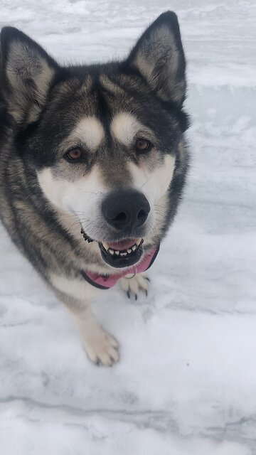 Friday February 28, The Lord your God is indeed God.