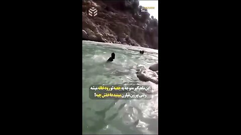 🤔🤫این جعبه رو ماهیگیر از رودخونه میگیره ببینید چی داخلشه