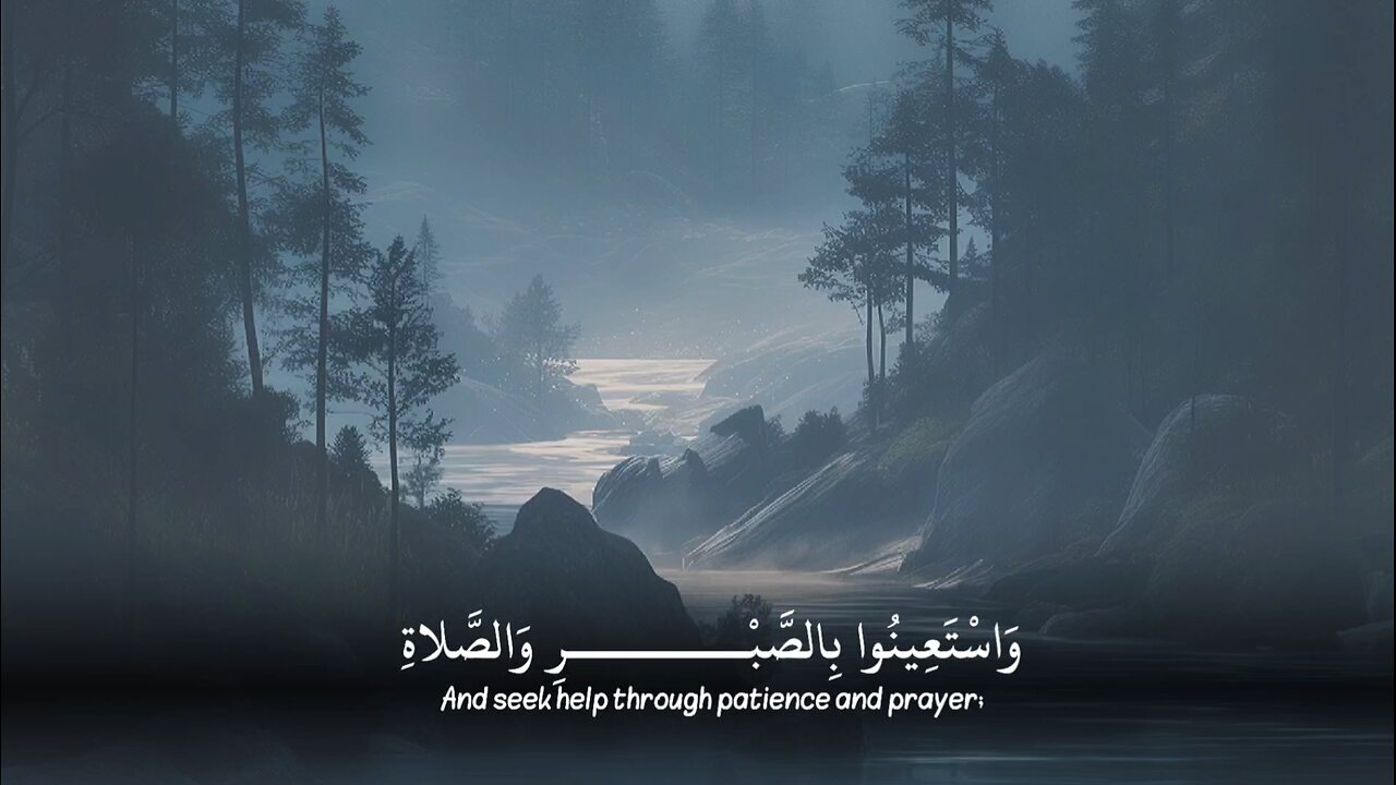 #القرآن_الكريم