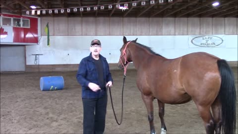 Start Small...What your horse can handle.