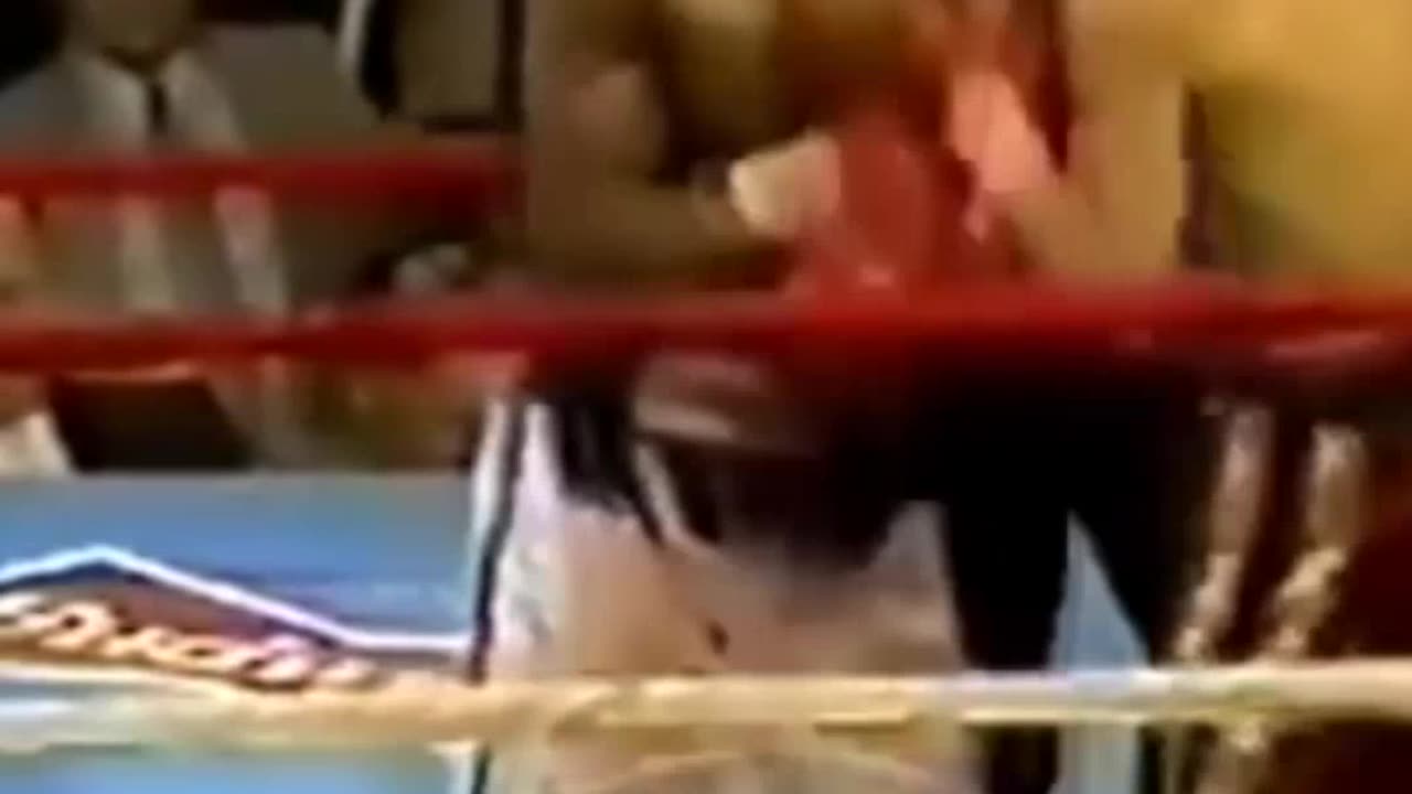 Julio Cesar Chavez vs Meldrick Taylor