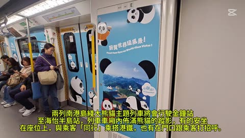 南港島綫熊貓車廂 Panda Carriage on South Island Line mhp4135 jan2025