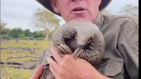 Ranger holding armadillo in his hand