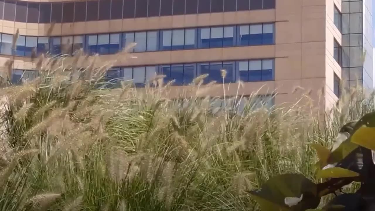 The only people I work for are my patients and that has given me such freedom!