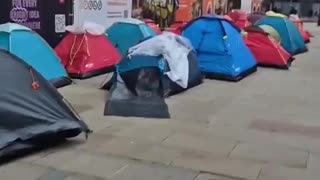 Migrant invasion in Manchester!