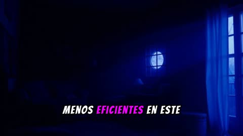 Visión Nocturna de los gatos