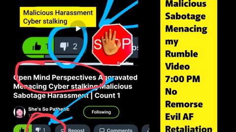 Open Mind Perspective Aggravated Menacing Cyber stalking Malicious Sabotage Harassment | Count 2