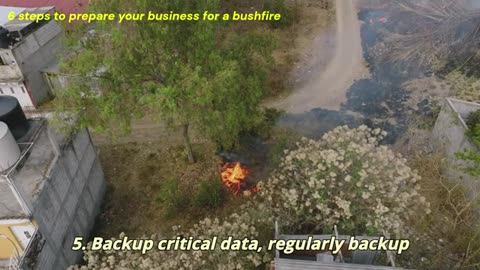 6 steps to prepare your business for a bushfire