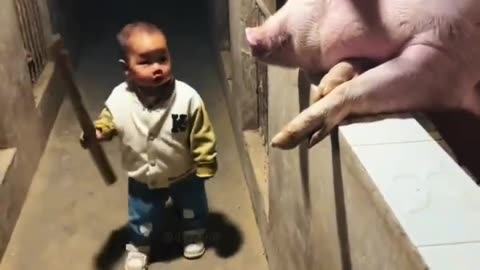 小孩哥