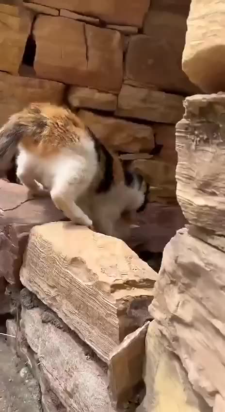 Foster child adopted 😍😍