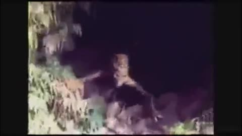 Strange Creature Caught On Tape In Cave