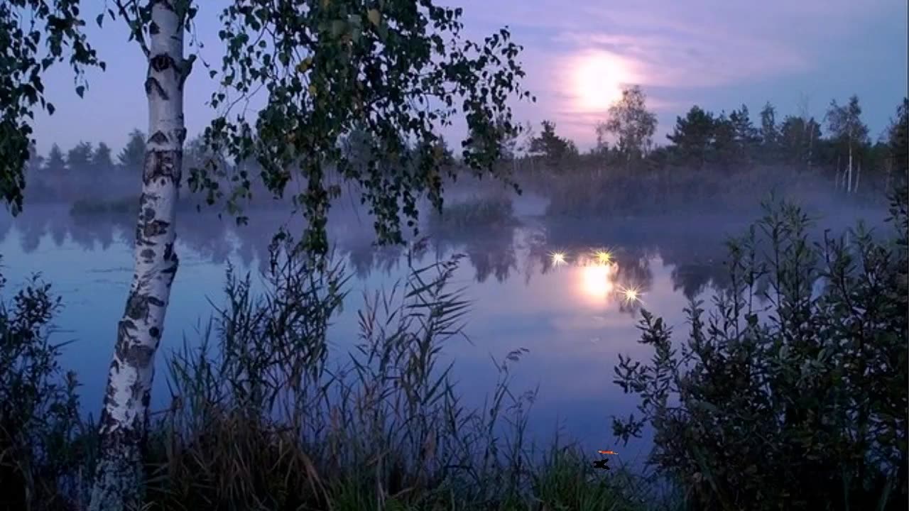 Прекрасная песня о взаимной любви!