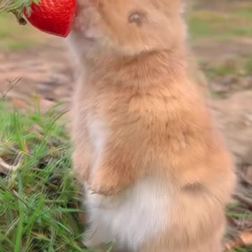 This ia not only funny watch and enjoy