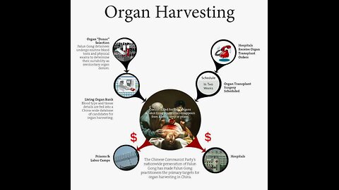 The grim reality of human organ harvesting in China