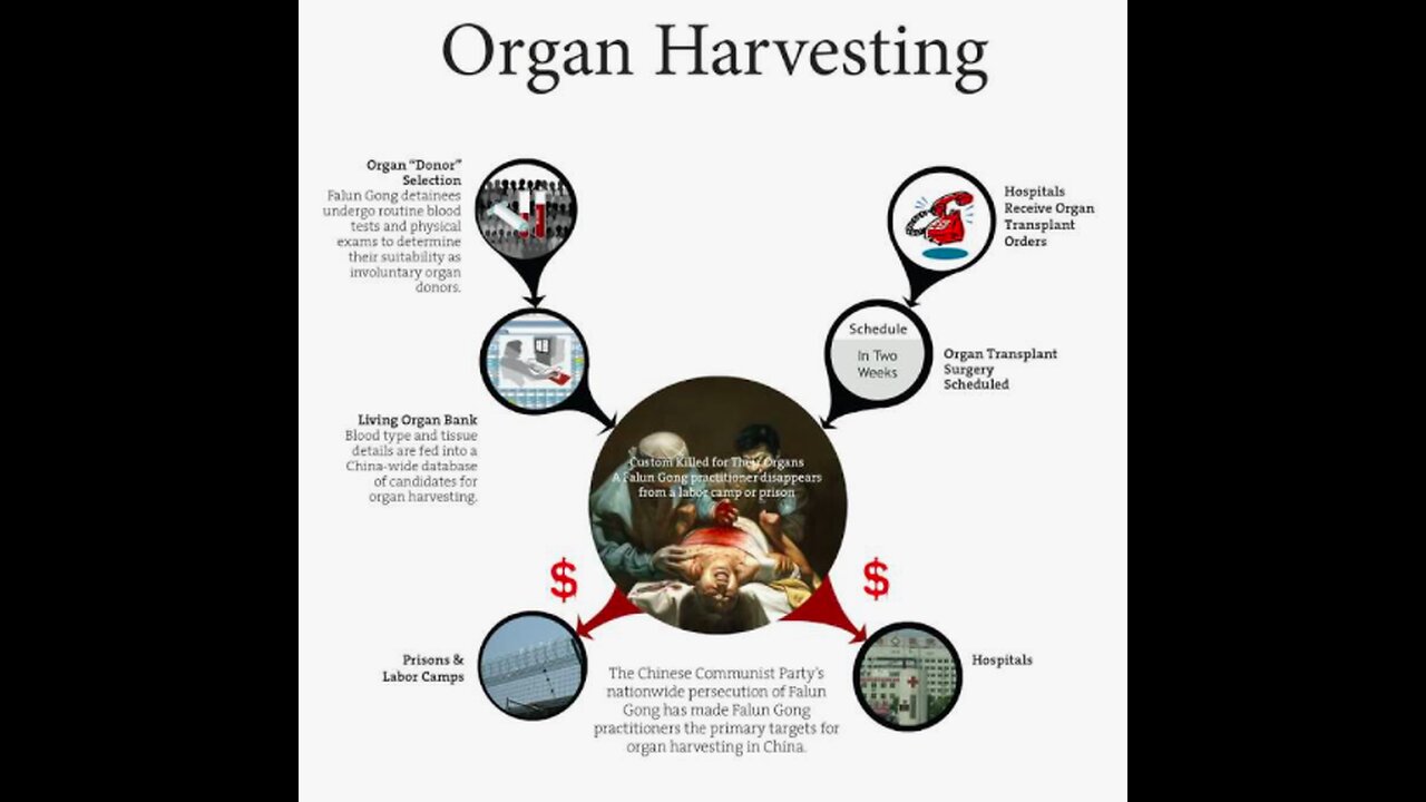 The grim reality of human organ harvesting in China