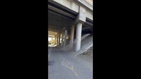 WALKING UNDER THE FREEWAY