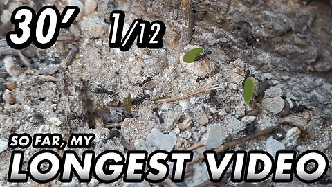 ASMR - 1st year of the channel! Finally, I can upload longer videos - 30' 1/12