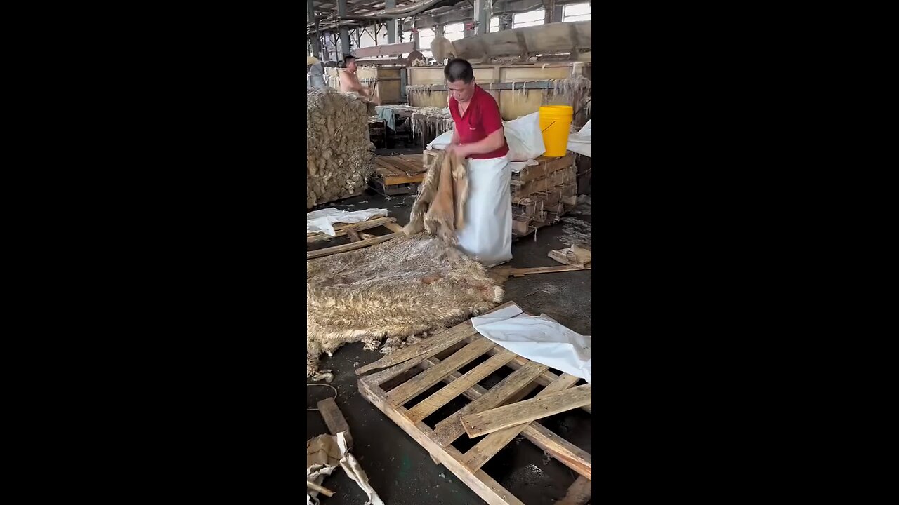 This is how luxury blankets are made