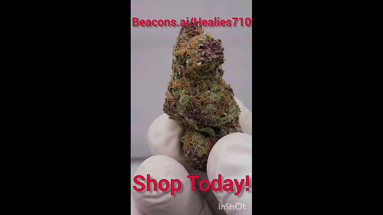 URGENT THCA Pounds And Bulk Prices