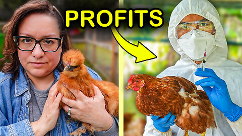 Bird Flu and Egg Prices...What's Really Going On?