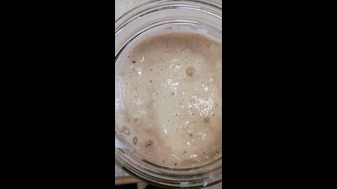 What does an active sourdough starter look like?