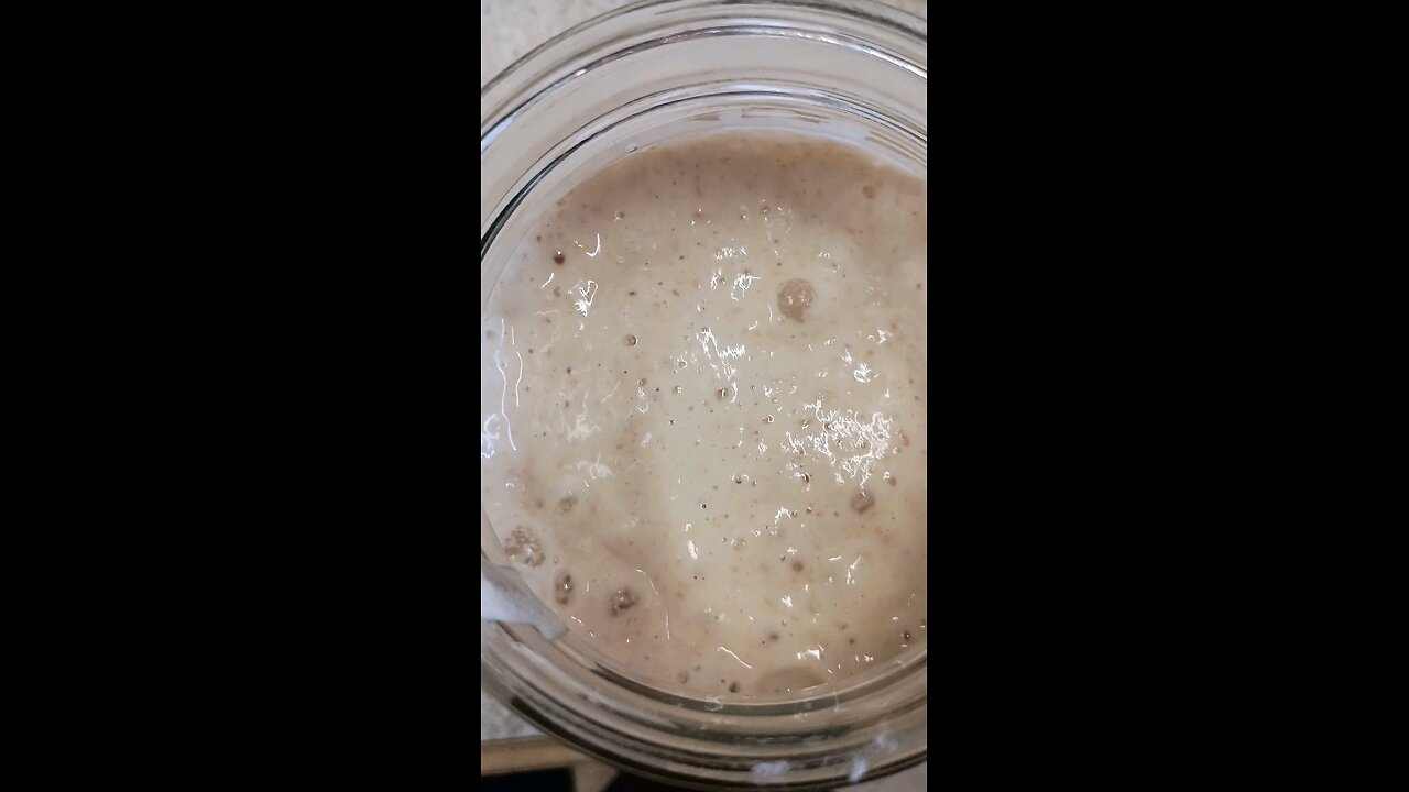 What does an active sourdough starter look like?