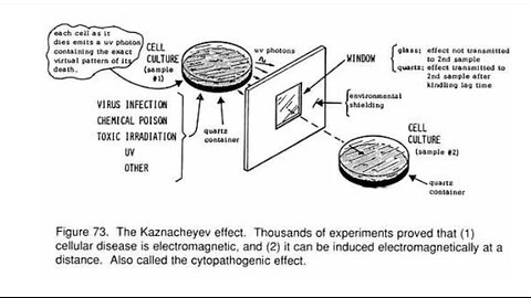 Dr Proves Disease Transmits through ELectromagnetic Waves | The Kaznacheyev Effect