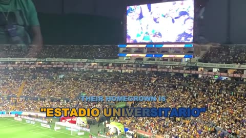 UANL Tigres 'Los Auriazules'