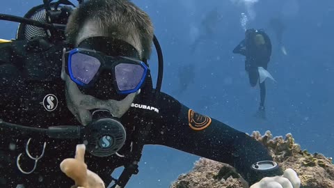 Diver Has a Rare Encounter With an Anglerfish