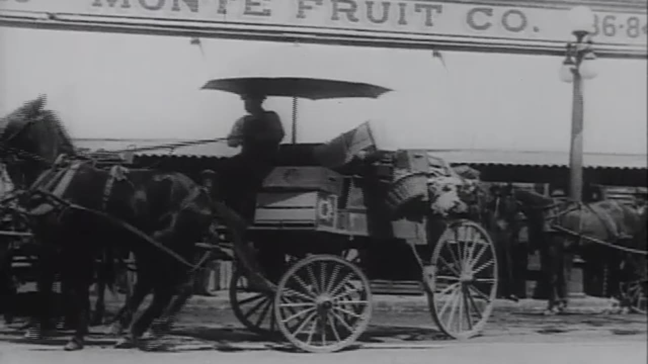 Monte Fruit Co.: Bay Area’s Agricultural Past
