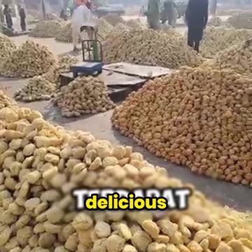 The Truth About Pakistan’s Mysterious Yellow Stones!