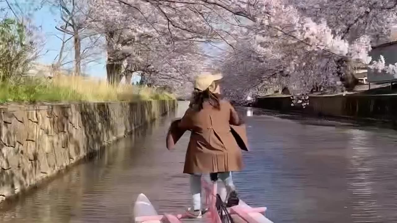 Kissing The Cherry Blossoms in Spring 🌸🌸🌸